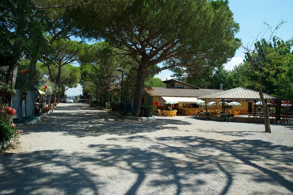 Camping Piper Puntone di Scarlino Εξωτερικό φωτογραφία